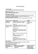 Paraugs 'Ziemassvētku eglītes rotāšana', 1.