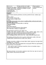 Paraugs 'Ziemassvētku eglītes rotāšana', 2.