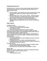 Konspekts 'Saimniecisko procesu un tehnoloģiju vadība', 1.