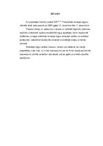 Prakses atskaite 'Tirgzinības prakse', 3.