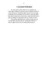 Prakses atskaite 'Tirgzinības prakse', 17.