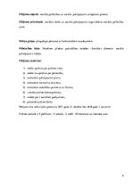 Prakses atskaite 'Sociālo pakalpojumu organizēšana un sociālāis darbs ar pilngadigām personām', 6.