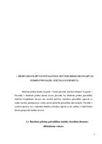 Prakses atskaite 'Sociālo pakalpojumu organizēšana un sociālāis darbs ar pilngadigām personām', 7.