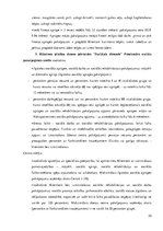 Prakses atskaite 'Sociālo pakalpojumu organizēšana un sociālāis darbs ar pilngadigām personām', 33.