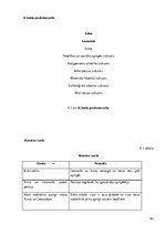 Prakses atskaite 'Sociālo pakalpojumu organizēšana un sociālāis darbs ar pilngadigām personām', 63.