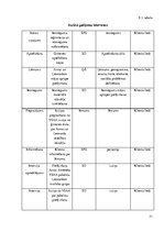 Prakses atskaite 'Sociālo pakalpojumu organizēšana un sociālāis darbs ar pilngadigām personām', 71.