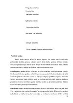 Prakses atskaite 'Sociālo pakalpojumu organizēšana un sociālāis darbs ar pilngadigām personām', 74.