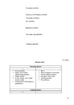 Prakses atskaite 'Sociālo pakalpojumu organizēšana un sociālāis darbs ar pilngadigām personām', 81.