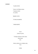 Prakses atskaite 'Sociālo pakalpojumu organizēšana un sociālāis darbs ar pilngadigām personām', 88.