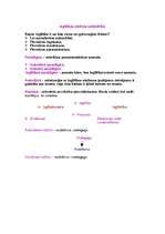 Konspekts 'Sabiedrības sistēma', 4.