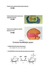 Referāts 'Fermenti', 6.