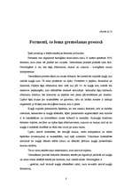 Referāts 'Fermenti', 8.