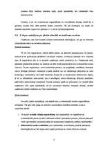 Referāts 'E-komercija un tās attīstība Latvijā', 13.