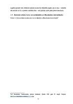 Referāts 'E-komercija un tās attīstība Latvijā', 22.