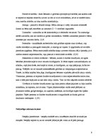 Referāts 'Dzirdes traucējumi', 9.