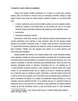 Prakses atskaite 'Prakses atskaite Rīgas pilsētas Ziemeļu rajona tiesā', 9.