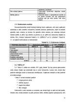 Biznesa plāns 'SIA "Orhideja" - ziedu veikals', 8.