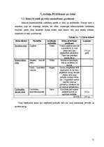 Biznesa plāns 'SIA "Orhideja" - ziedu veikals', 19.