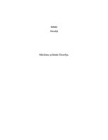 Eseja 'Mūsdienu politiskā filosofija', 1.