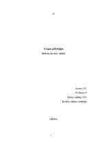 Referāts 'Grupas psiholoģija', 1.