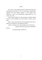 Referāts 'Grupas psiholoģija', 3.