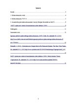 Referāts 'Kiberuzbrukumu Top 10', 2.