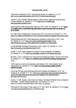 Referāts 'Kiberuzbrukumu Top 10', 12.