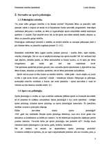 Referāts 'Personības attīstība basketbola stundās', 8.