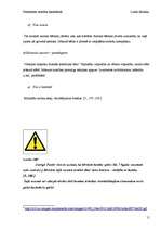 Referāts 'Personības attīstība basketbola stundās', 15.