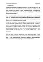 Referāts 'Personības attīstība basketbola stundās', 16.