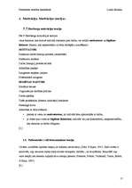 Referāts 'Personības attīstība basketbola stundās', 17.