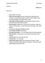 Referāts 'Personības attīstība basketbola stundās', 21.