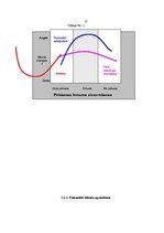 Referāts 'Tiešā pārdošana uzņēmumā "Avon"', 17.