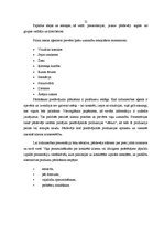 Referāts 'Tiešā pārdošana uzņēmumā "Avon"', 21.