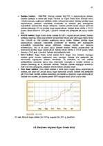 Referāts 'Rīgas Fondu birža', 19.