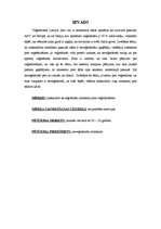 Paraugs 'Nevēģetāriešu attieksme pret veģetāriešiem', 2.