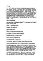 Referāts 'Pirmais pasaules karš', 2.