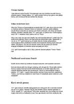 Referāts 'Pirmais pasaules karš', 5.