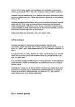 Referāts 'Pirmais pasaules karš', 6.