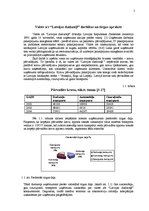 Referāts 'Valsts AS "Latvijas Dzelzceļš" mārketinga politikas izstrādāšana', 5.