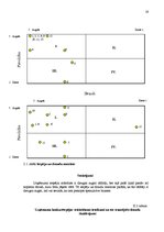 Referāts 'Valsts AS "Latvijas Dzelzceļš" mārketinga politikas izstrādāšana', 19.