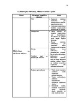 Referāts 'Valsts AS "Latvijas Dzelzceļš" mārketinga politikas izstrādāšana', 36.