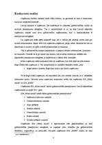 Biznesa plāns 'Biznesa plānam izvēlētās nozares un produkta analīze', 6.