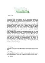 Konspekts 'Viduslaiku pilis', 7.