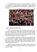 Referāts 'Latviešu tautas tērpa izmaksas un nozīme tautas kultūrā', 15.