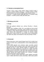 Referāts 'Honda ir tipiska Japāņu prece', 7.