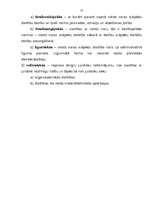 Referāts 'Valsts forma un funkcijas', 13.