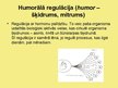 Prezentācija 'Humorālā regulācija', 2.