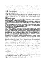 Konspekts 'Renesanse, lielie ģeogrāfiskie atklājumi un reformācija', 7.