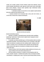 Referāts 'Komerciālā darbība ieslodzījumu vietās', 17.